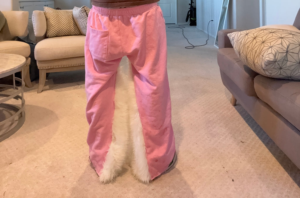 Flare Sp5der sweats